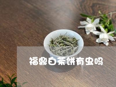 福鼎白茶饼有虫吗/2023112543826