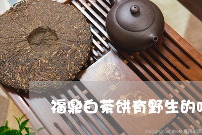 福鼎白茶饼有野生的吗/2023120874827