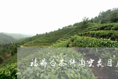 福鼎白茶饼淘宝类目属性/2023110346162