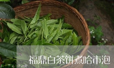 福鼎白茶饼煮哈市泡/2023120582927