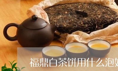 福鼎白茶饼用什么泡好/2023120621648