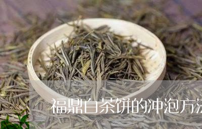 福鼎白茶饼的冲泡方法/2023092082725