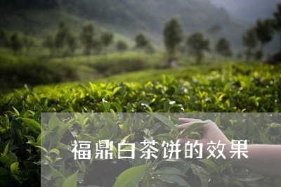 福鼎白茶饼的效果/2023112675037