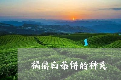 福鼎白茶饼的种类/2023112573917