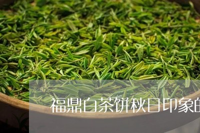 福鼎白茶饼秋日印象的价格/2023042649492