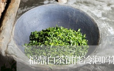 福鼎白茶饼能冷泡吗怎么保存/2023111401594