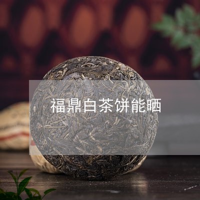 福鼎白茶饼能晒/2023112590380