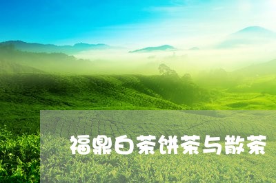 福鼎白茶饼茶与散茶/2023120341602