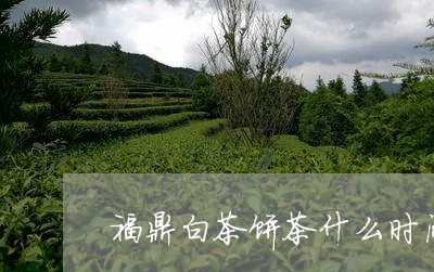 福鼎白茶饼茶什么时间才有/2023042695069