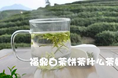 福鼎白茶饼茶什么茶好/2023120645848