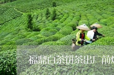 福鼎白茶饼茶出厂前烘干/2023092187704