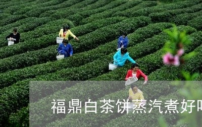 福鼎白茶饼蒸汽煮好吗/2023120875938