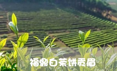 福鼎白茶饼贡眉/2023060895149