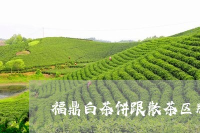 福鼎白茶饼跟散茶区别图片/2023042770595