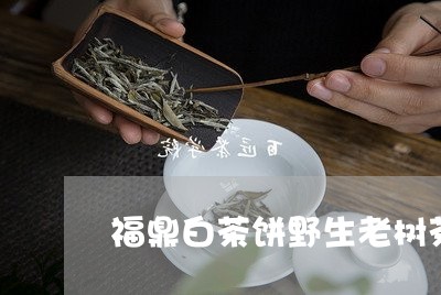 福鼎白茶饼野生老树茶/2023120835140