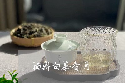 福鼎白茶香月/2023052289271