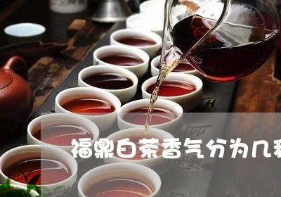 福鼎白茶香气分为几种/2023092083717