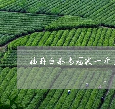 福鼎白茶马冠尖一斤多少钱/2023042829493