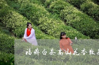 福鼎白茶高山花香散茶/2023062885837