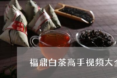 福鼎白茶高手视频大全大全/2023042880695