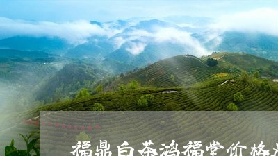 福鼎白茶鸿福堂价格及图片/2023042876039