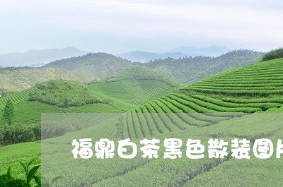 福鼎白茶黑色散装图片欣赏/2023042773717