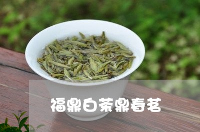 福鼎白茶鼎春茗/2023060859581