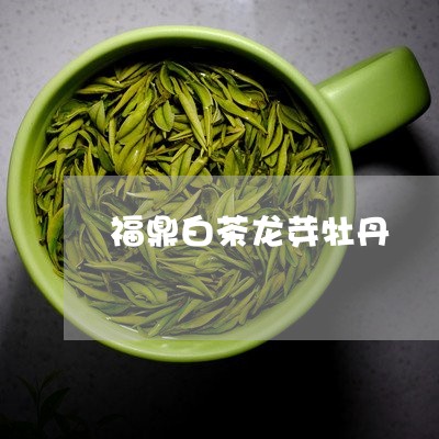 福鼎白茶龙芽牡丹/2023112663705