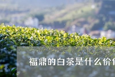 福鼎的白茶是什么价位/2023120860593