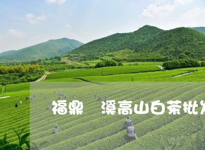 福鼎磻溪高山白茶批发/2023120866151