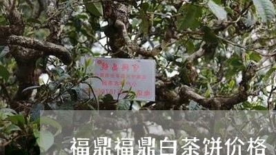 福鼎福鼎白茶饼价格/2023120512725