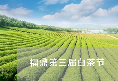 福鼎第三届白茶节/2023090969493