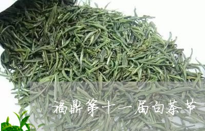 福鼎第十一届白茶节/2023120346179