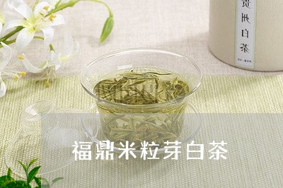 福鼎米粒芽白茶/2023060987394