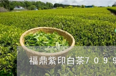 福鼎紫印白茶7099/2023092059583