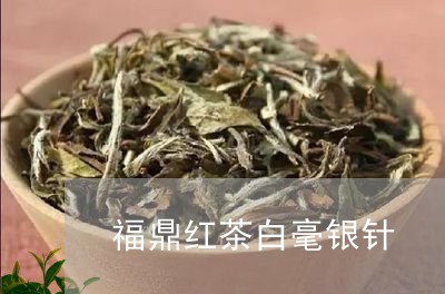 福鼎红茶白毫银针/2023090752917