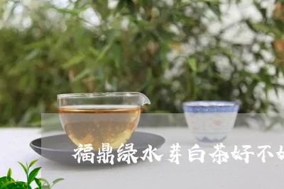 福鼎绿水芽白茶好不好/2023120743839