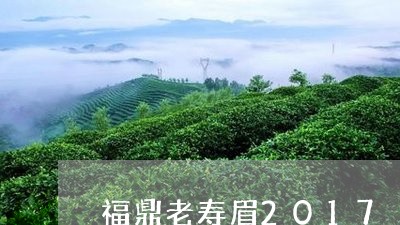 福鼎老寿眉2017/2023120589272