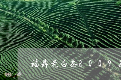 福鼎老白茶2009茶饼/2023092240706