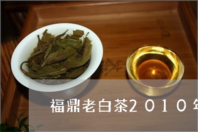 福鼎老白茶2010年原味/2023111694735