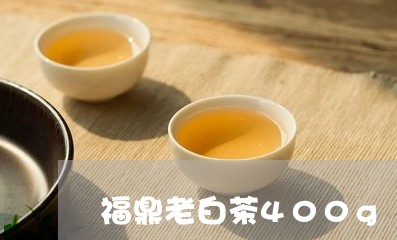 福鼎老白茶400g/2023120365715