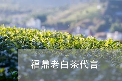 福鼎老白茶代言/2023060962716