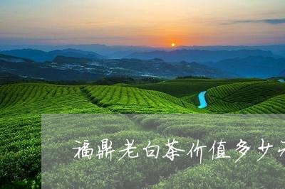 福鼎老白茶价值多少元/2023120799470