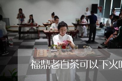 福鼎老白茶可以下火吗/2023091522725