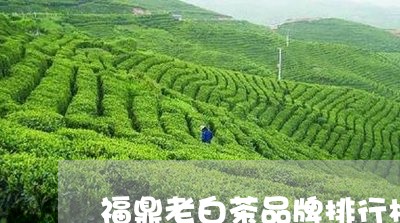 福鼎老白茶品牌排行榜最新/2023111001595