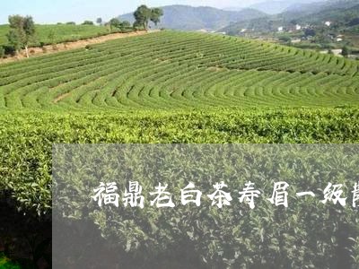 福鼎老白茶寿眉一级散茶500g/2023062826159