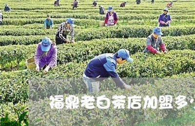 福鼎老白茶店加盟多少钱/2023110243137