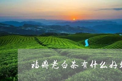 福鼎老白茶有什么好处和功效/2023062886360