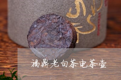 福鼎老白茶电茶壶/2023071282593