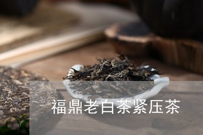 福鼎老白茶紧压茶/2023073147371